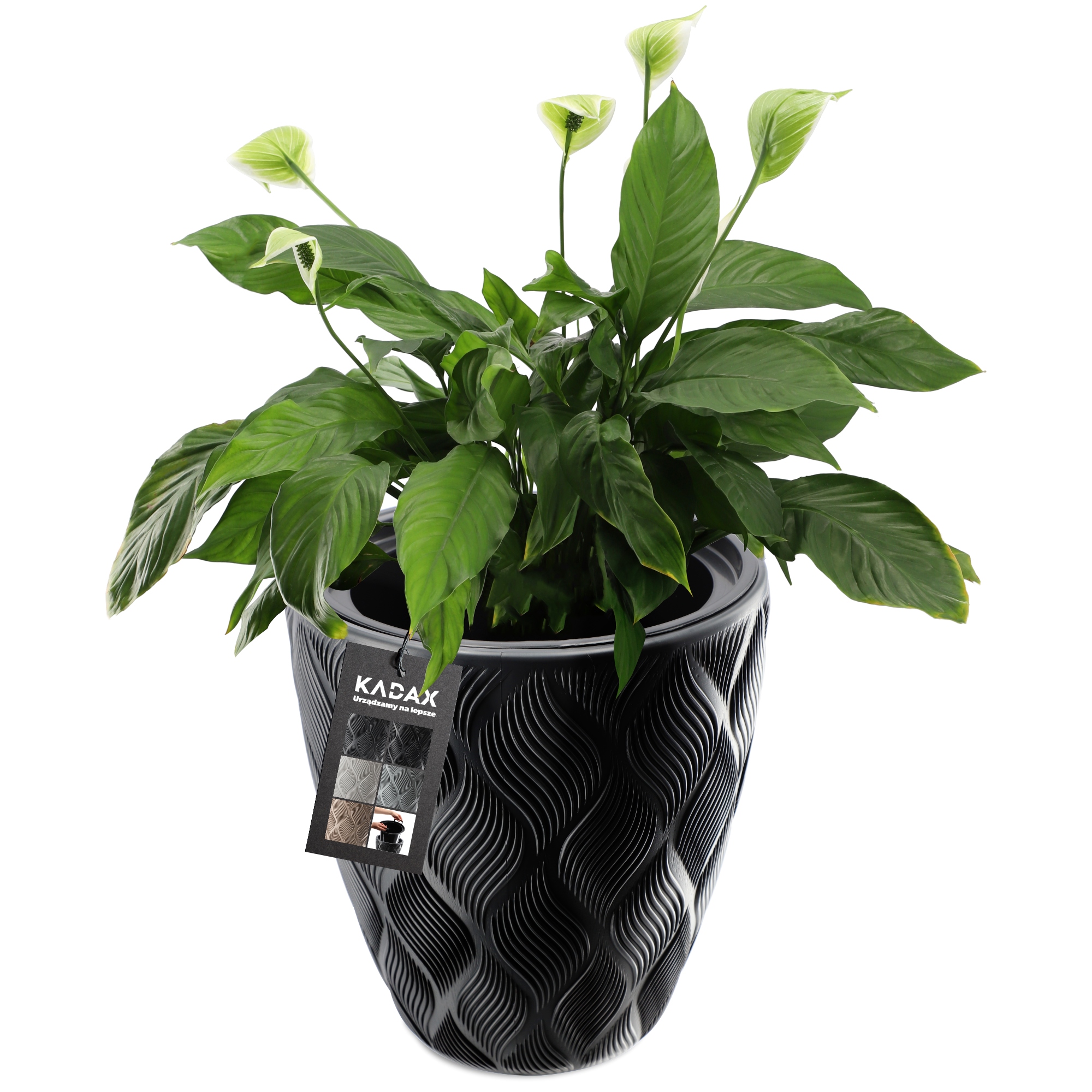 

Doniczka Donica Z Wkładem Ogrodowa Czarna 42cm