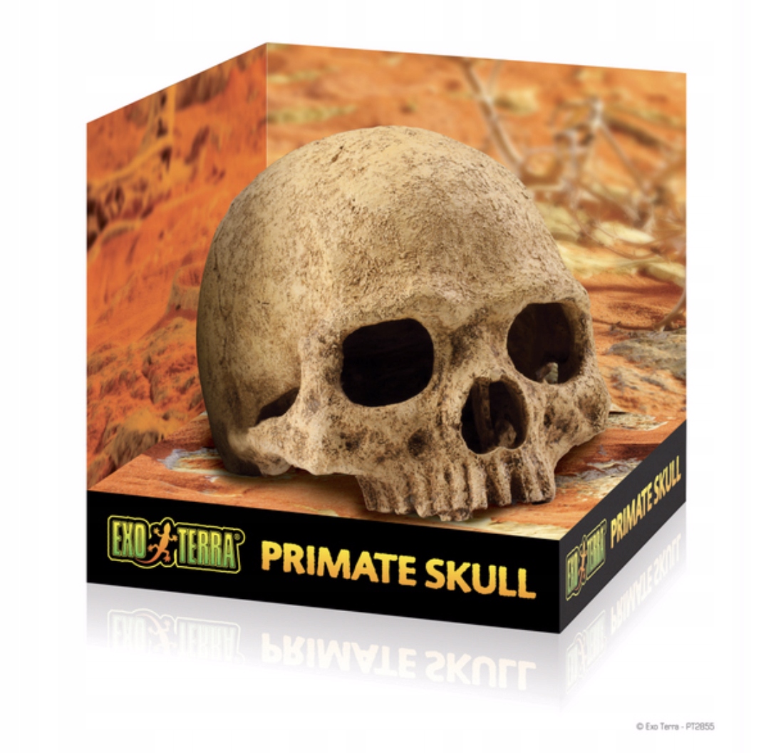 Levně Exo terra Hagen Úkryt Lebka lidská
