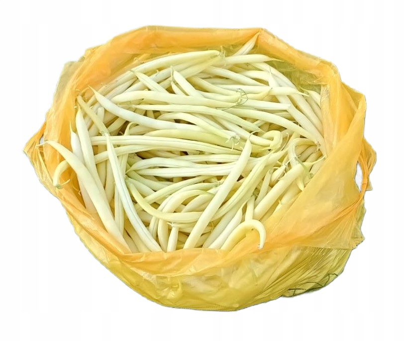 Čerstvá Mladá Fazolka Žlutá Chřestová 1KG Sklizeň 2026 Polská