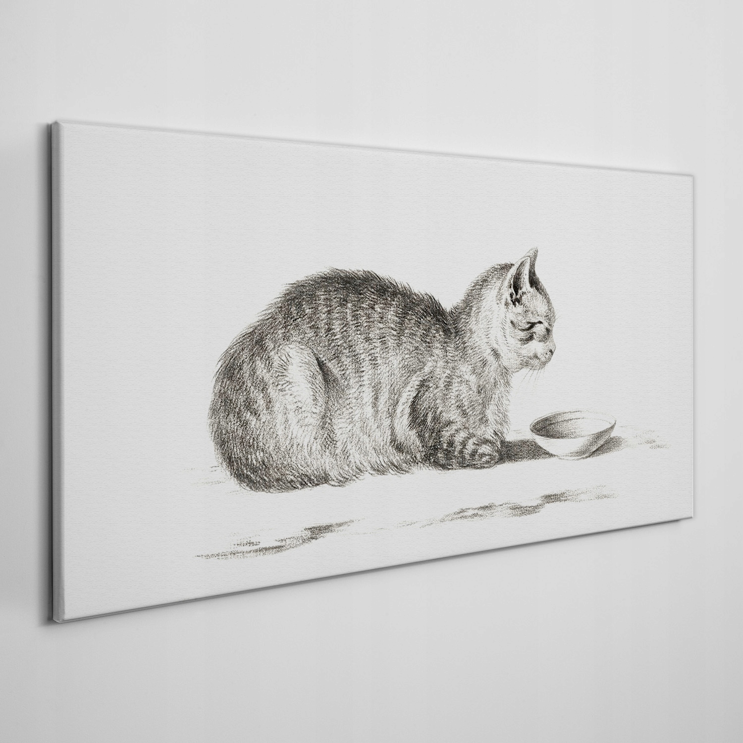 

Nowoczesny fotoobraz ścienny na płótnie Kot 120x60