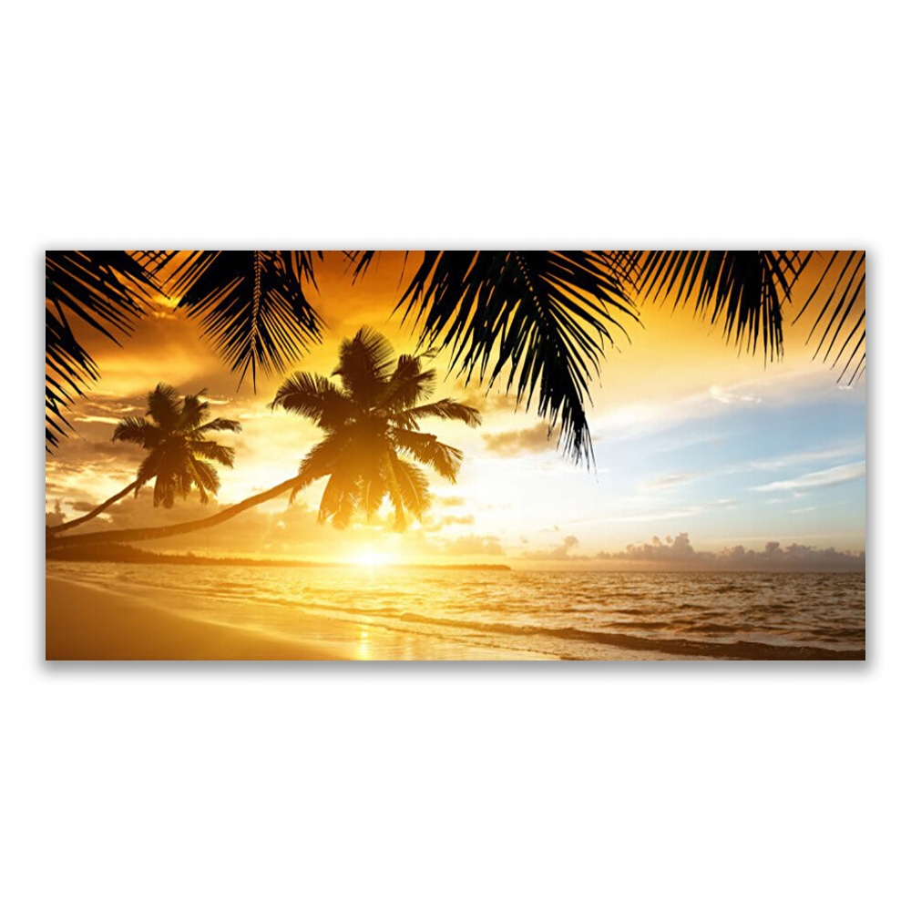 

Obraz akrylowy 140x70 Plaża Palma Morze Krajobraz