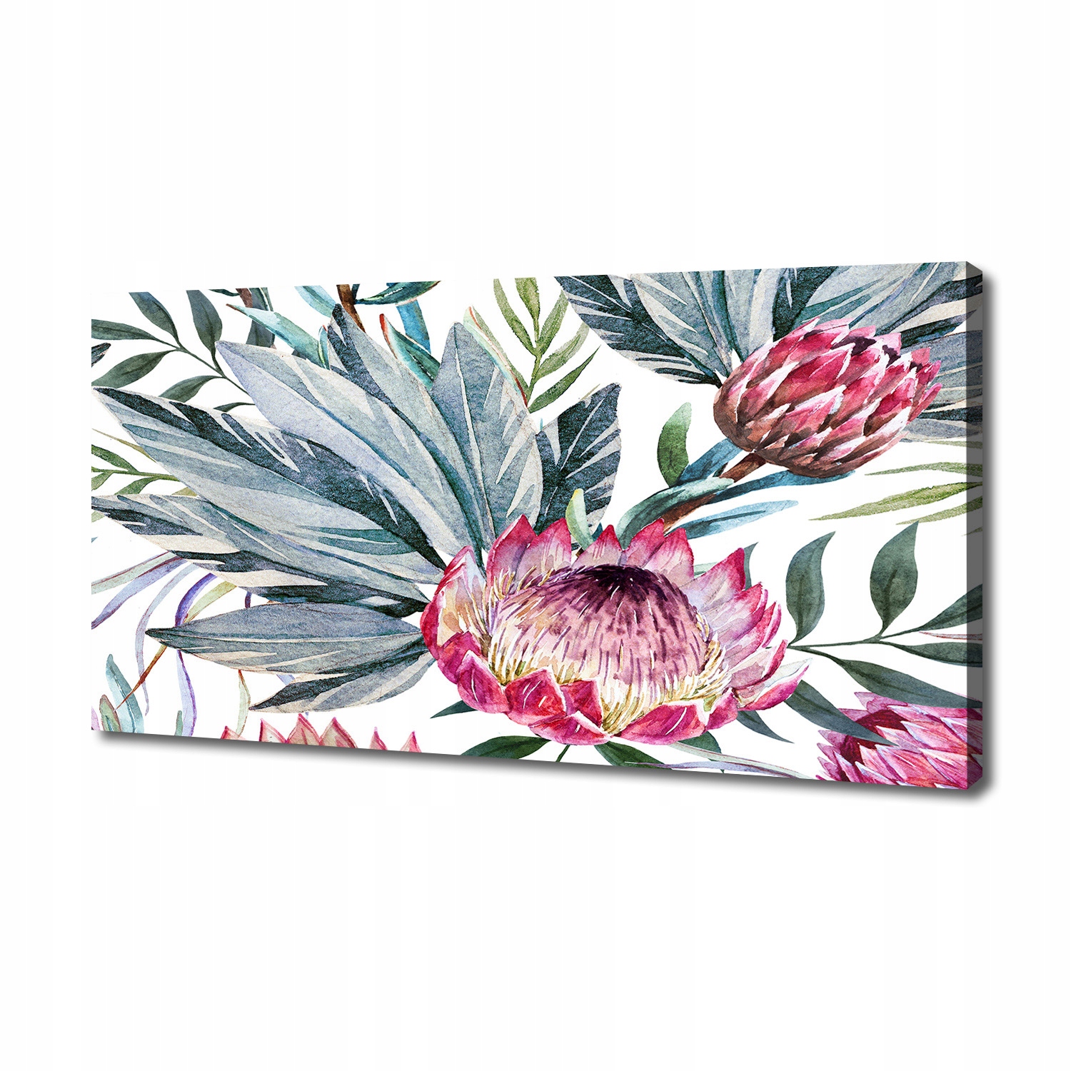

Foto obraz duży canvas na ścianę Protea 140x70 cm
