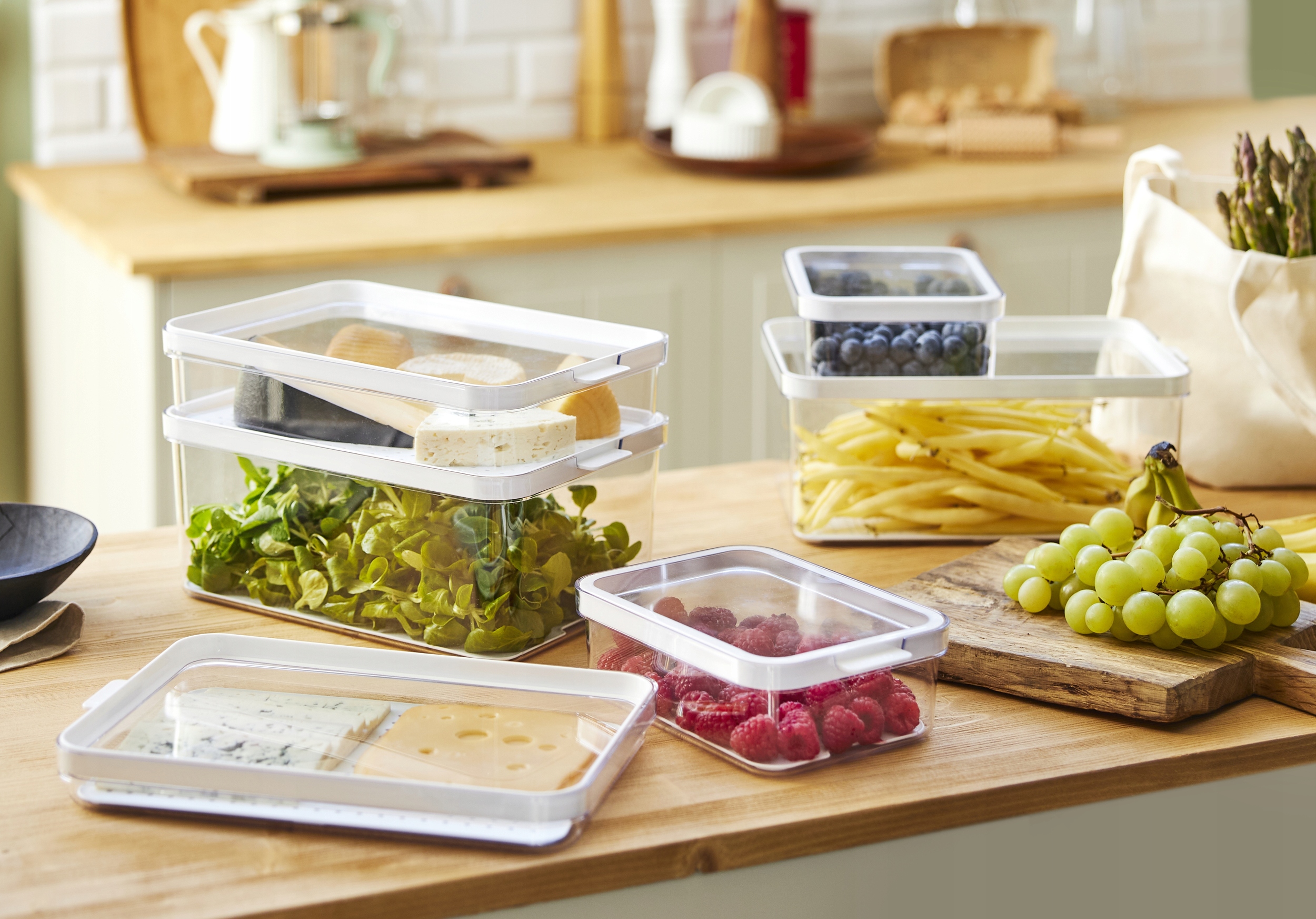 ROTHO POJEMNIK DO LODÓWKI NA ŻYWNOŚĆ OWOCE WARZYWA PLASTIKOWY 2L CAUMA Linia CAUMA