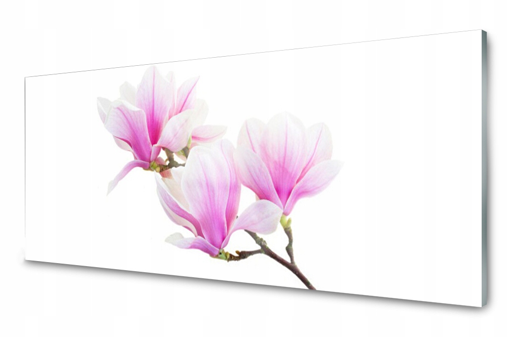 

Panel szklany do kuchni Kwiaty Roślina 125x50