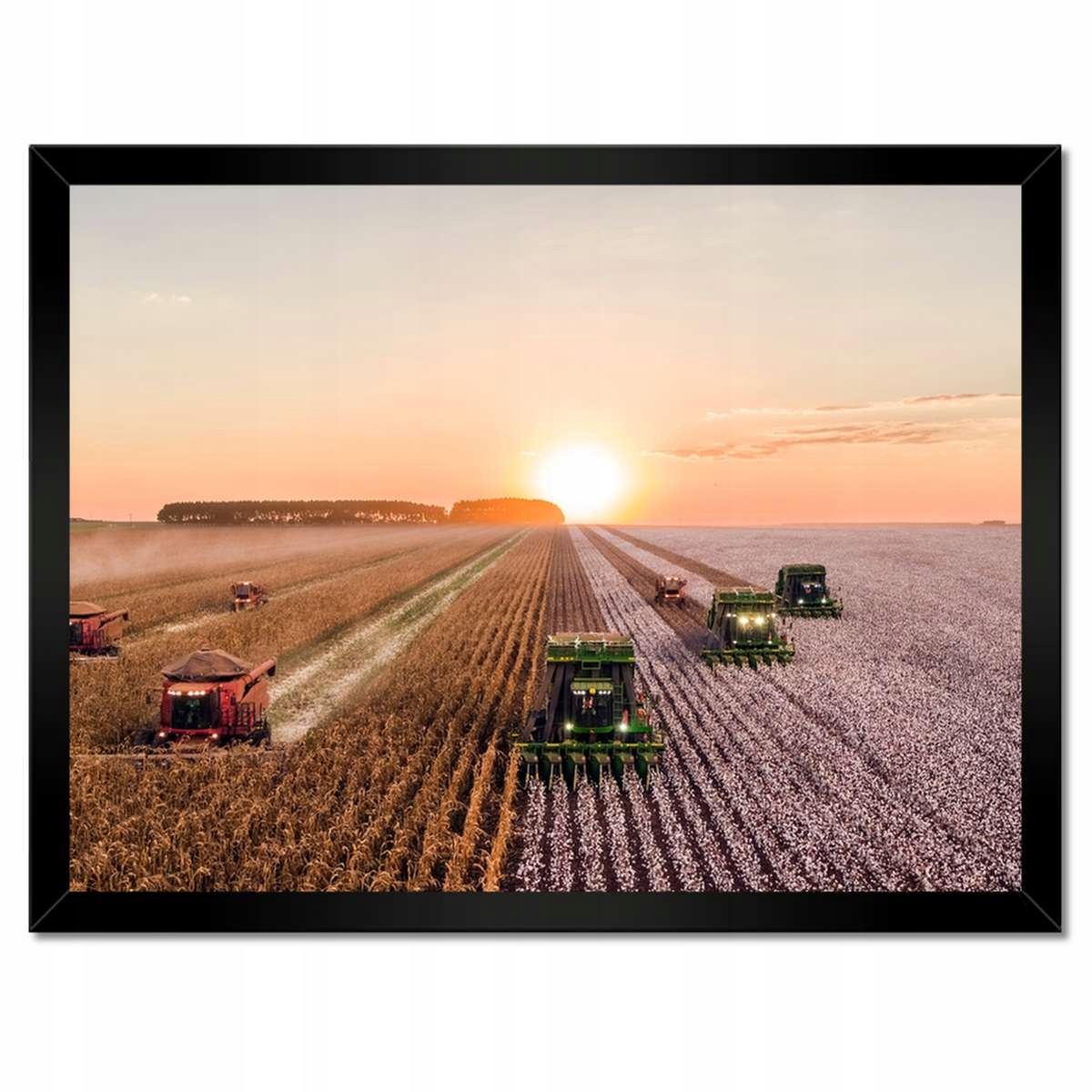 Plakáty v rámu 40x30 Žně Zemědělství Kombajny