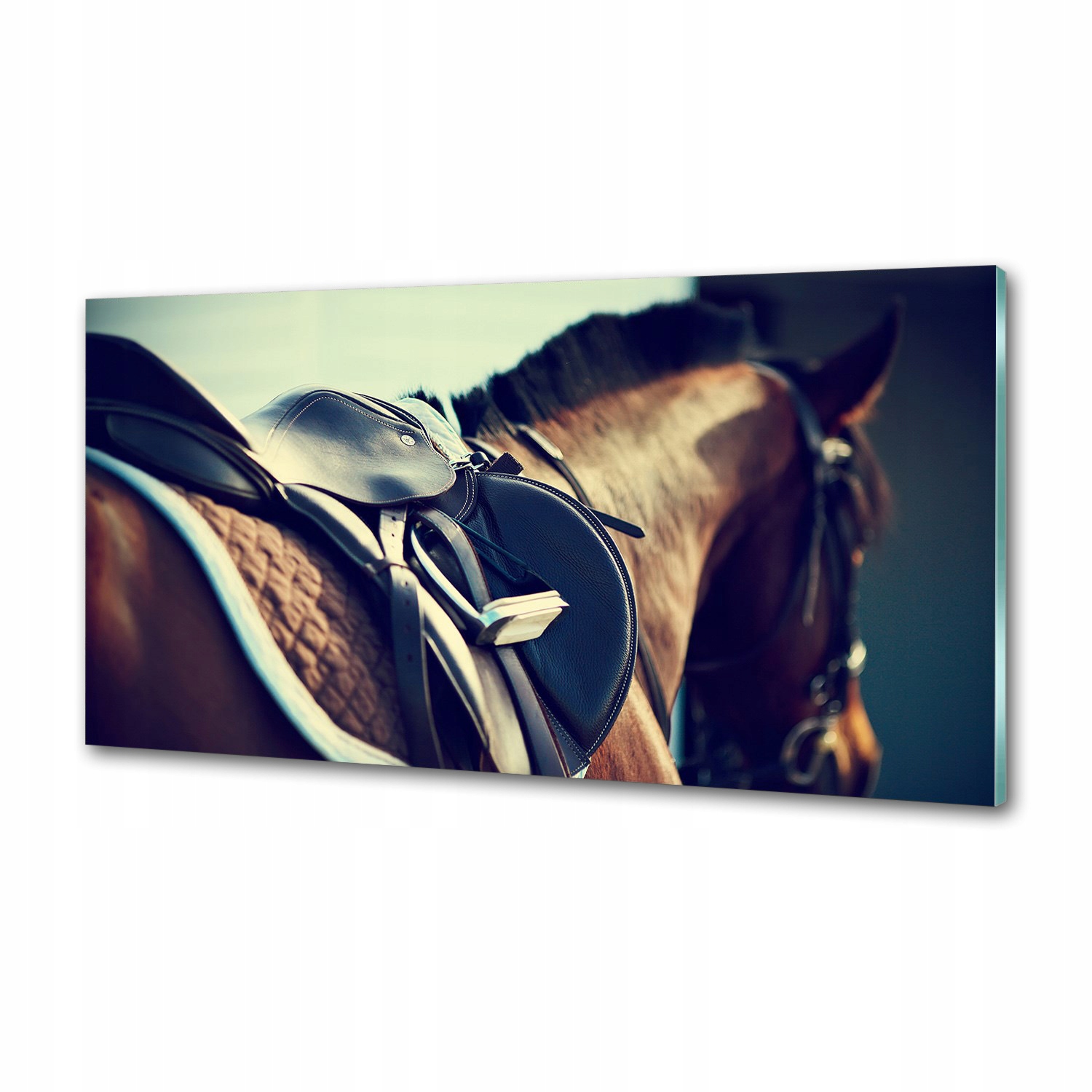 Panel lacobel Sedlo s strmeňmi 120x60 Lepidlo