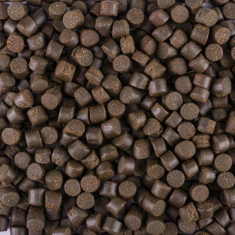 TROPICAL STERLET BASIC L pokarm dla jesiotrów 3l Postać granulat