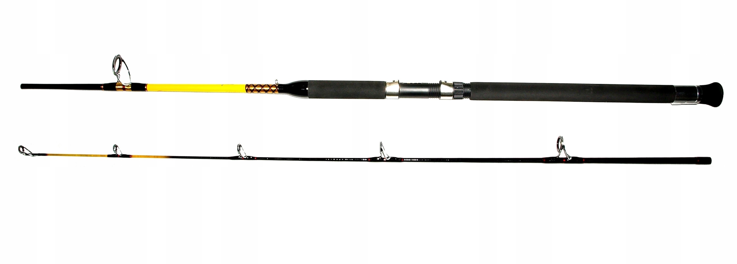 NEVER CRACK WFT SENSO PILK 20-120g. 2,7m