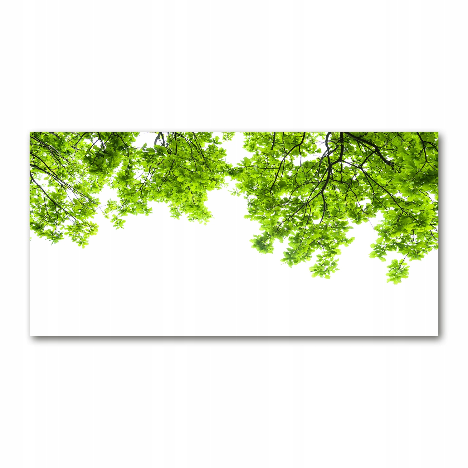 

Foto obraz szkło hartowane Liście dębu 140x70