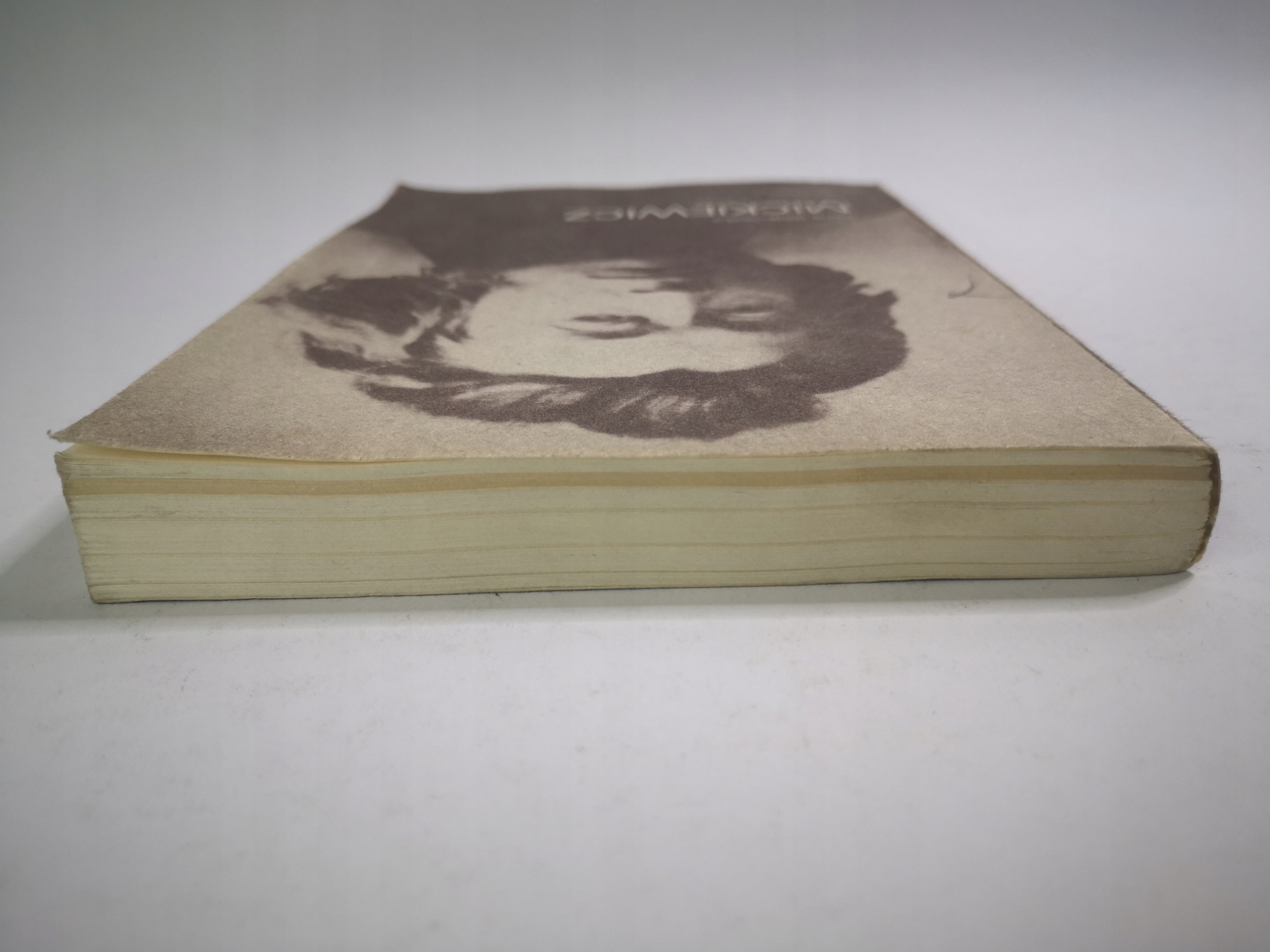 MICKIEWICZ SŁOWO I CZYN ALINA WITKOWSKA ISBN 8301036001