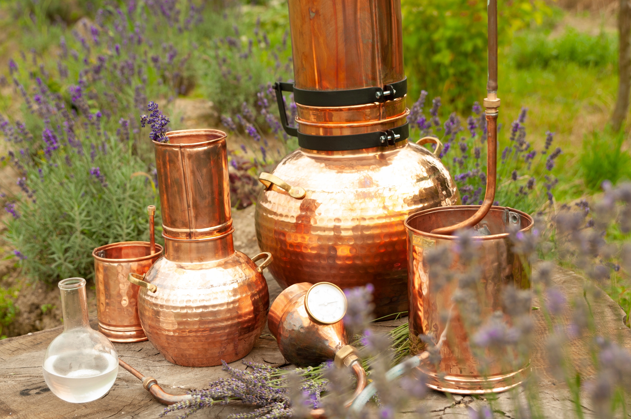 Hydrolat RÓŻA DAMASCEŃSKA 30 ml Rodzaj hydrolat