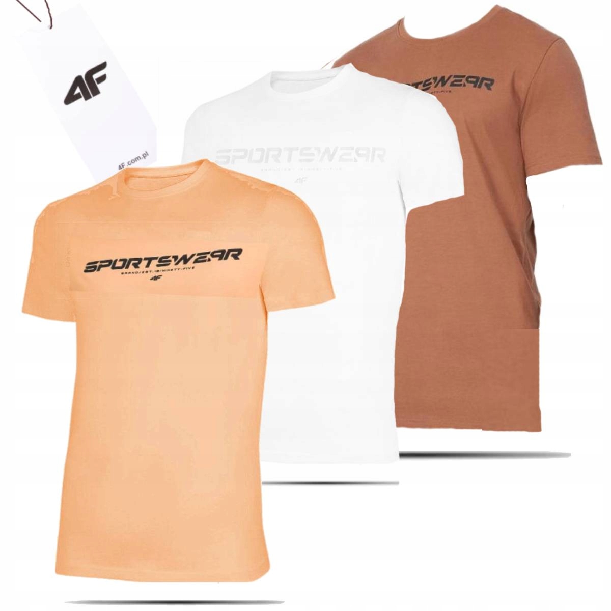 Koszulka Męska 4f T-shirt Zestaw Sportowy Bawełniany Basic do Biegania