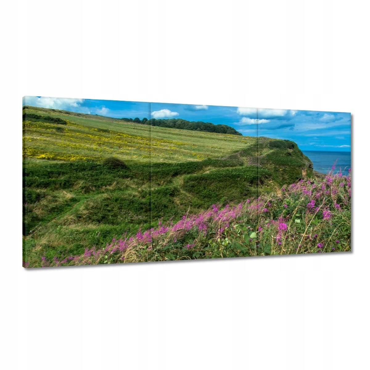 Obrazy 180x90 Kvetinová lúka nad morom