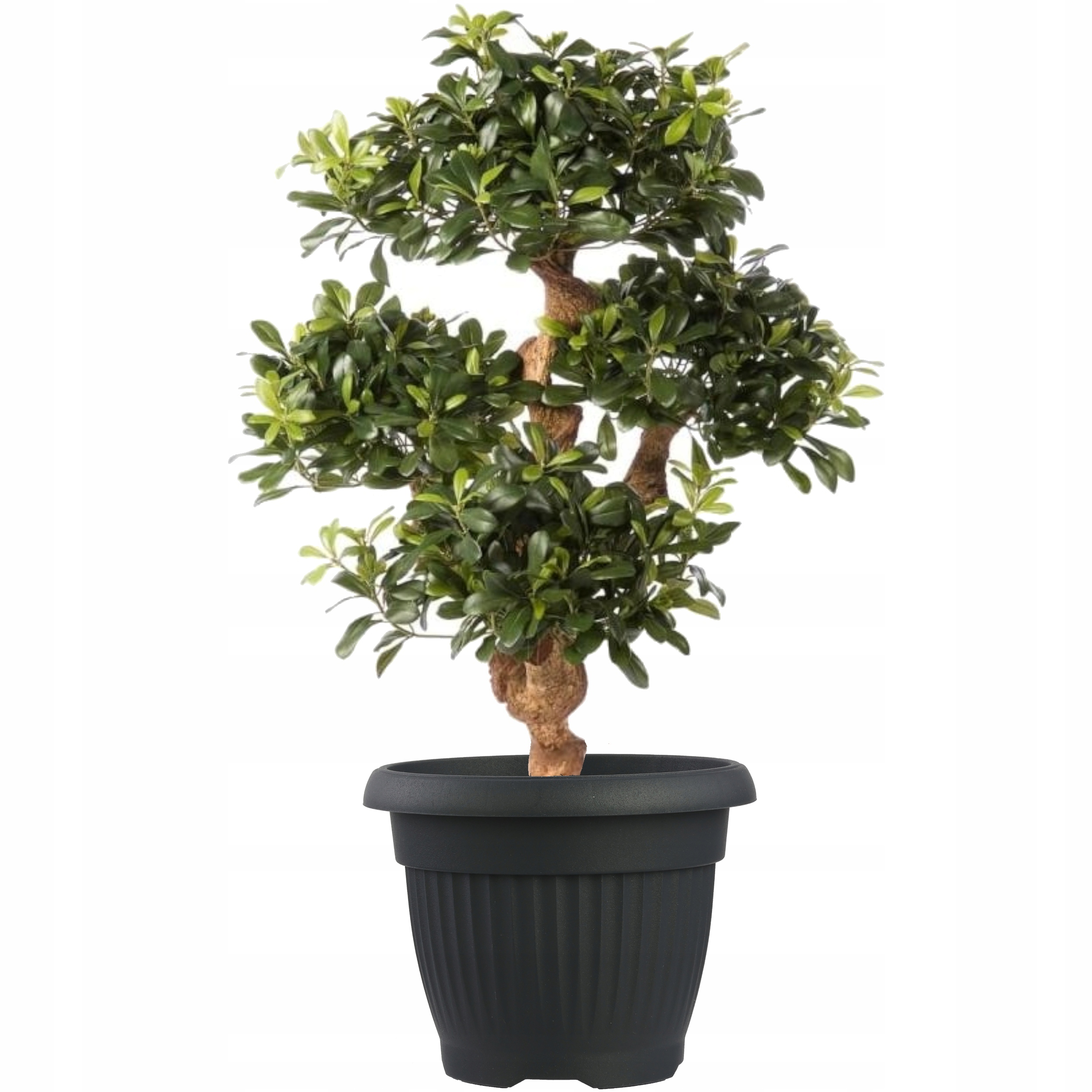 

Donica klasyczna okrągła tradycyjna antracyt ø55cm