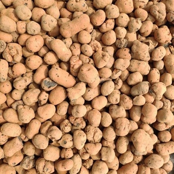 

Keramzyt Ogrodniczy Liaflor Classic 4-8 mm 50L