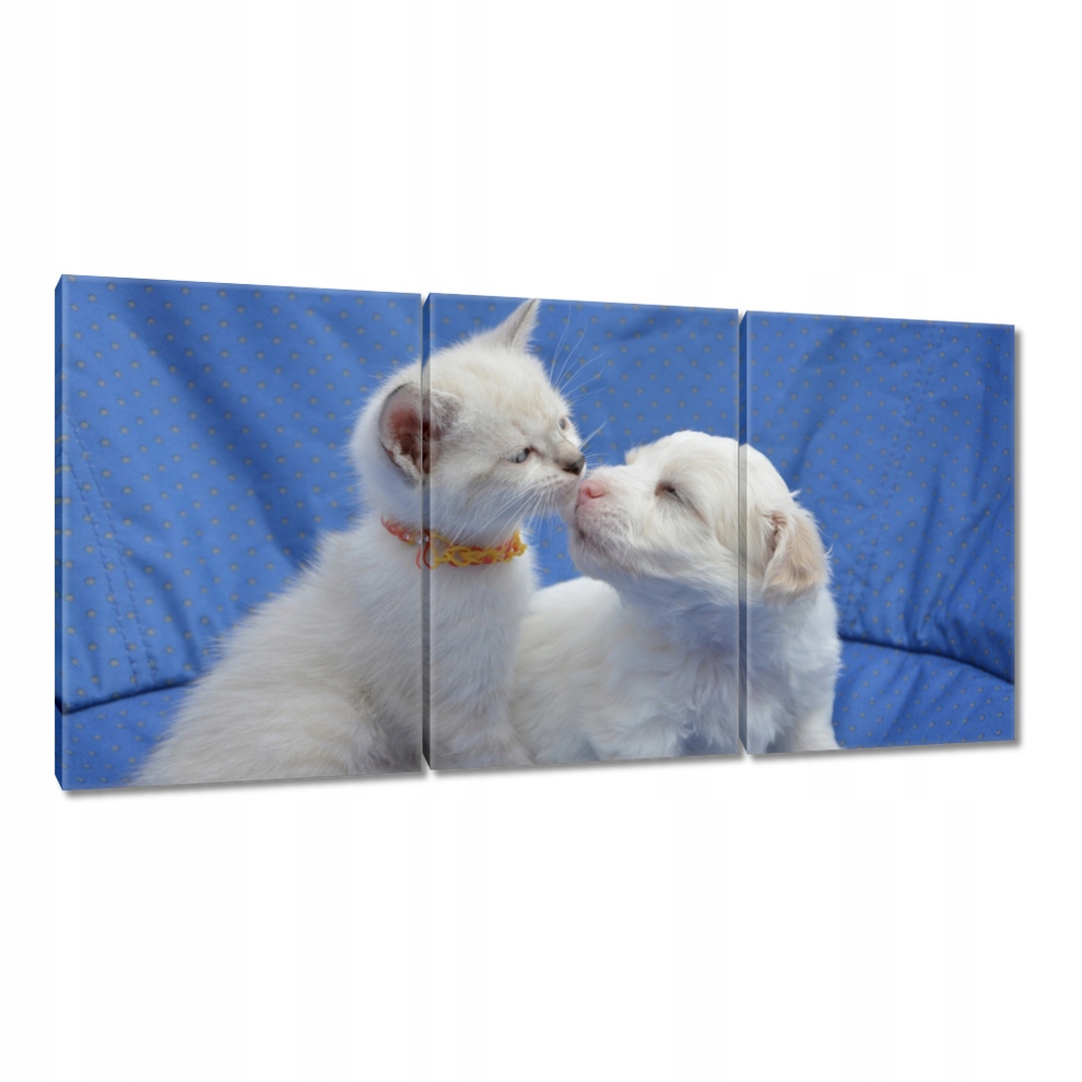 

Obrazy 240x120 Miłość Uczucie Związek