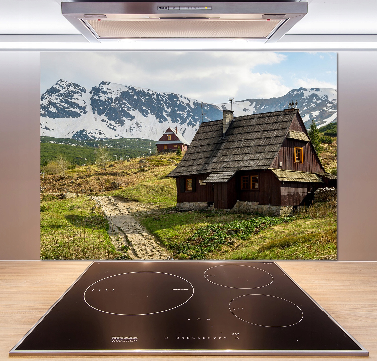 

Panel dekor szkło Hale Tatry 100x70 cm + Klej