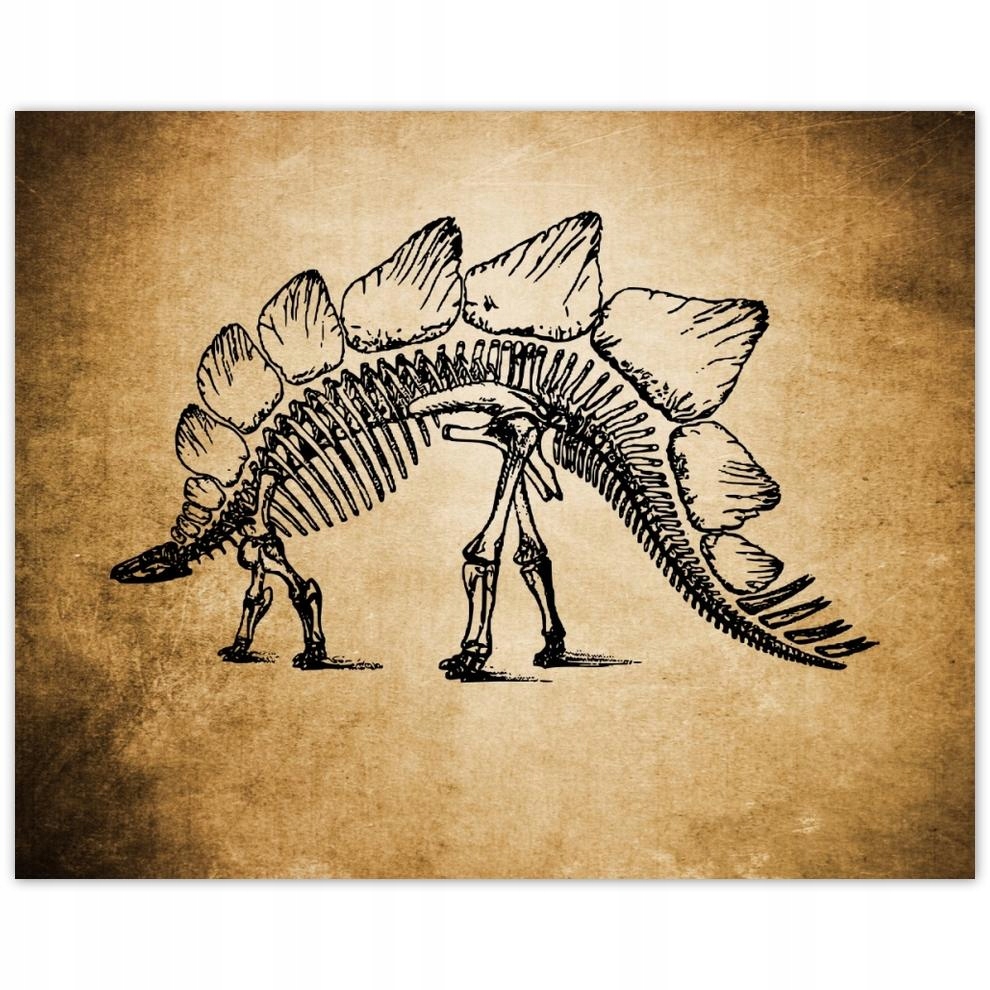 

Plakat 50x40 Dinozaur Prehistoria Dino