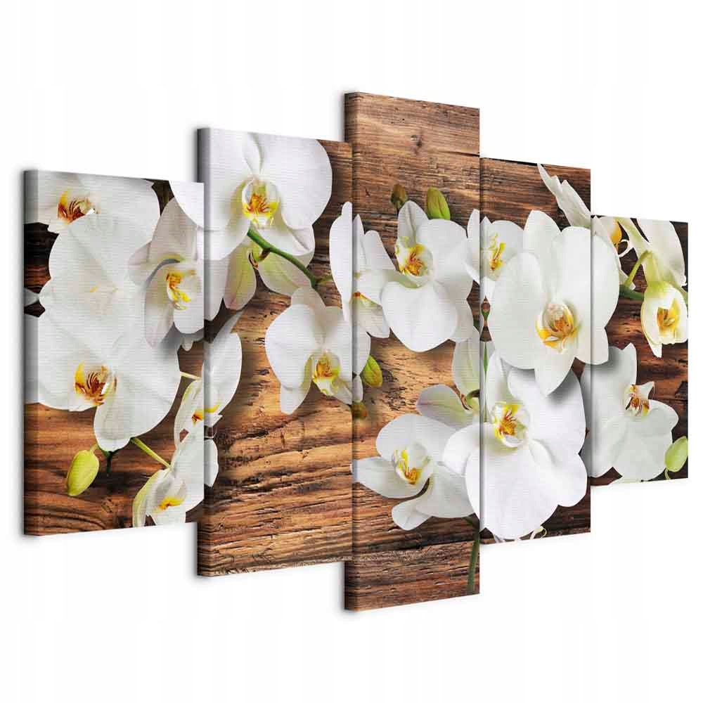 Obraz 5 Částí Květina Orchidej Orchidej Příroda Desky Dekorace Obývací Pokoj 200x100