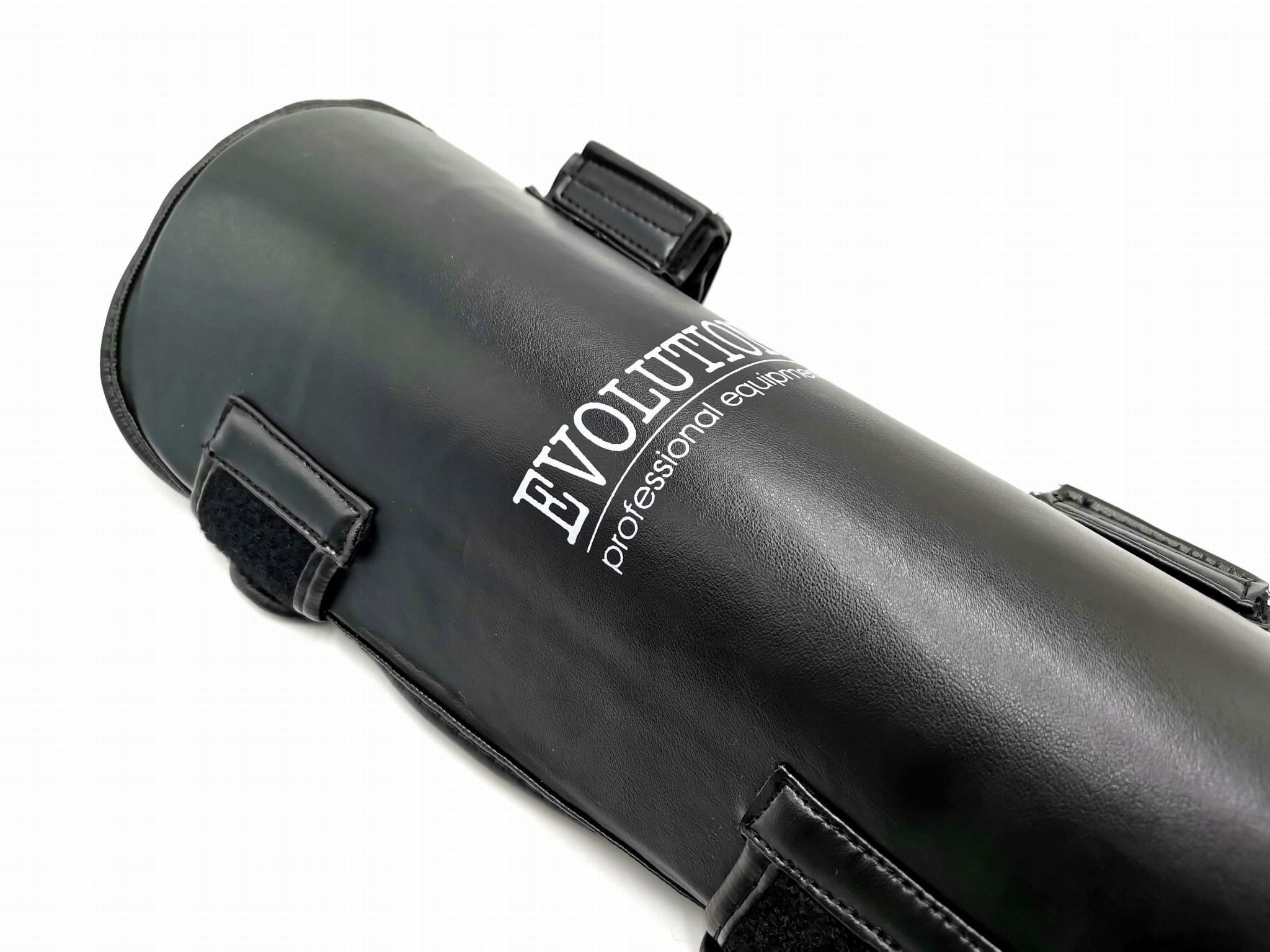 ЗАХИСТИ ГОЛІНКИ ТА СТОП EVOLUTION M