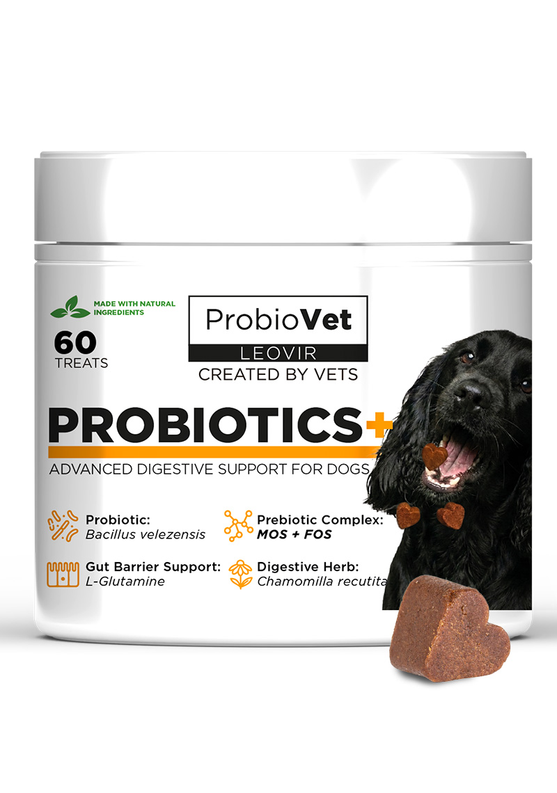 Levně ProbioVet Plus 60 ks – proti svědění – podpora střev a pokožky, probiotikum