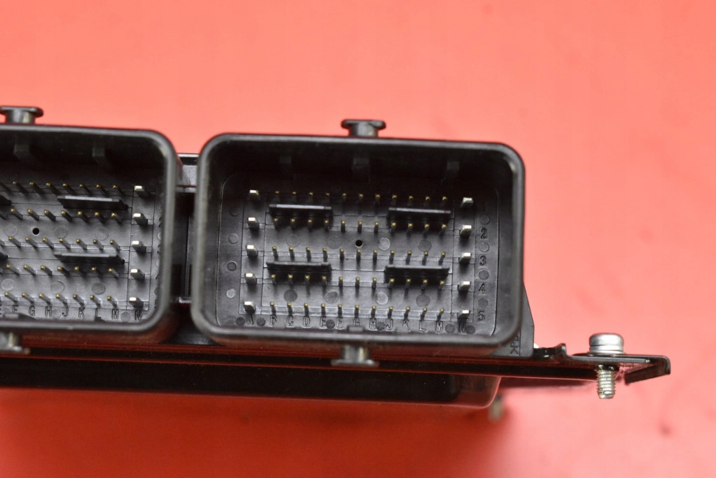 Centralina computer Motore 237403NG2A NISSAN LEAF 1 e ZE0 LIFT 10-17