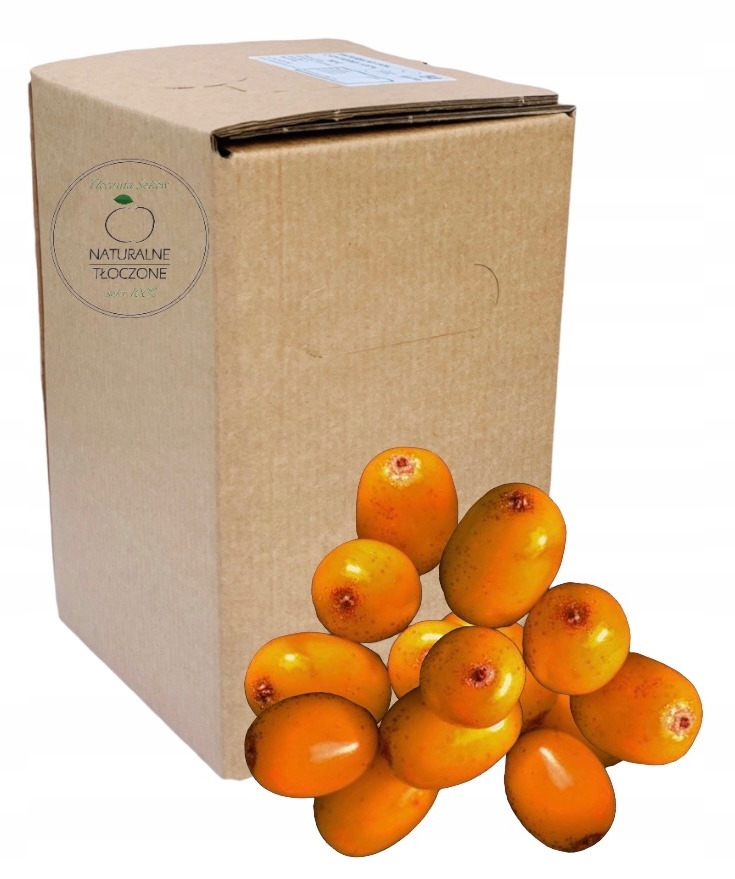 Levně Šťáva z Rakytníku 100% 2 l (v Kartonu) – přírodní