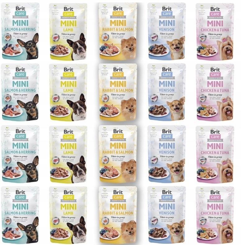 Najlepsze karmy dla psów ras małych i miniaturowych (York, Maltańczyk)