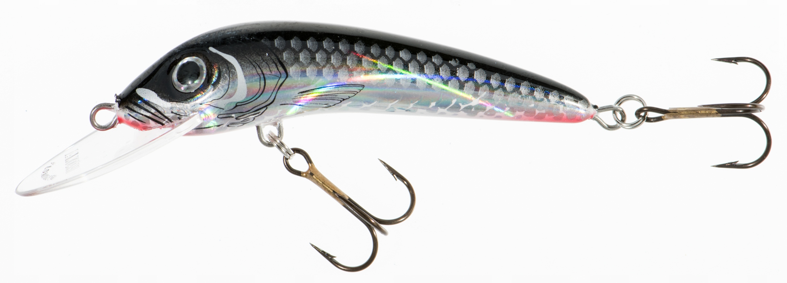 Wobler Jaxon Hs Ferox 8cm F Sc