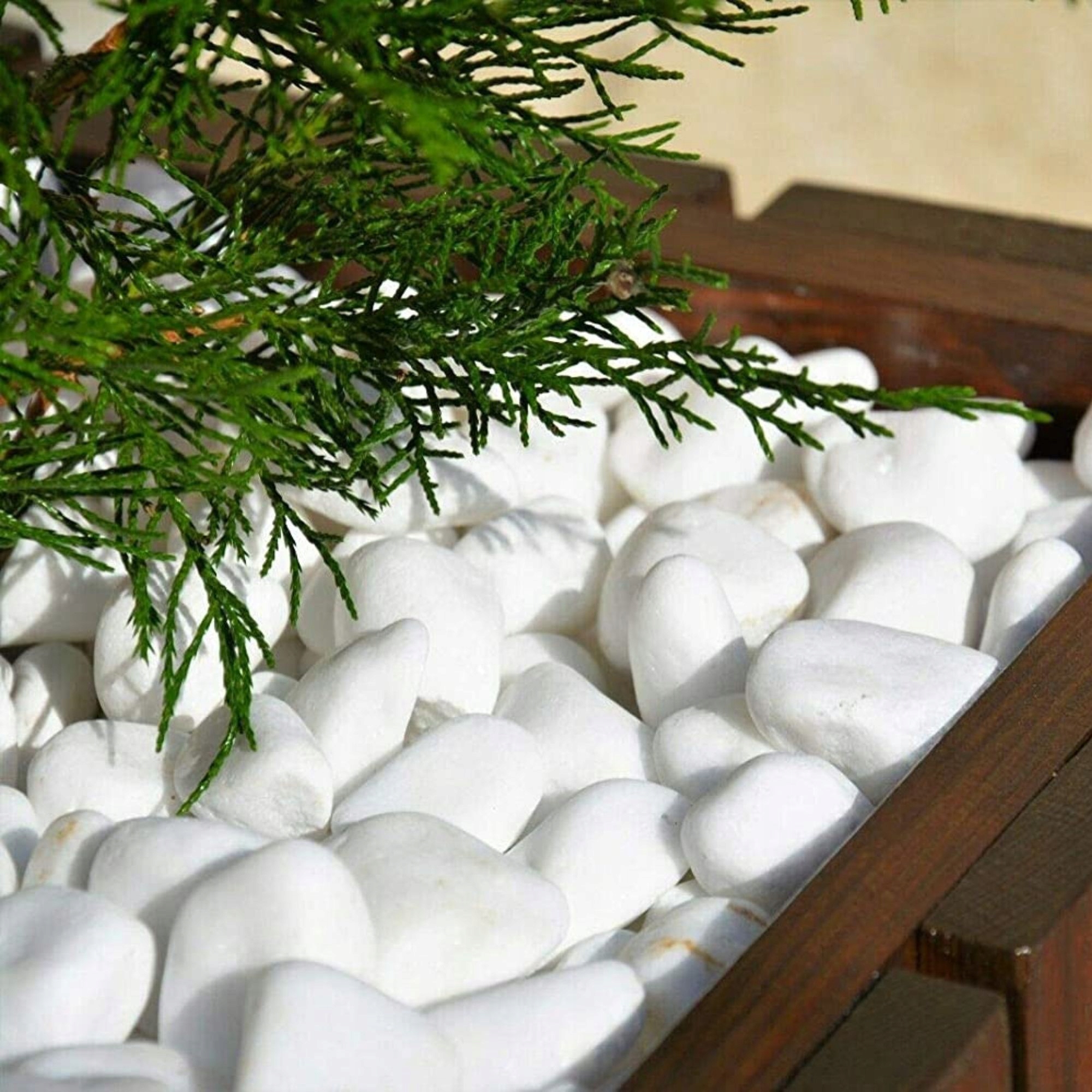 THASSOS KŐBURKOLAT FEHÉR KERTI 10 KG Márka Globmetal TRADE