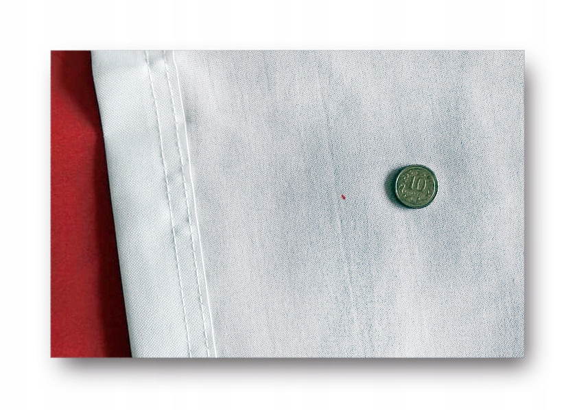 Flaga Polska z godłem 150x90 cm Polski godło SITODRUK Rodzaj flaga