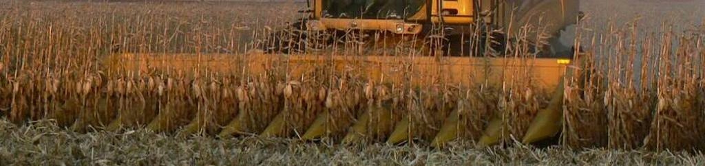 034851 - ЦЕПЬ GERINGHOFF ROTA ДИСК ЦЕПЬ ОСНАСТКИ