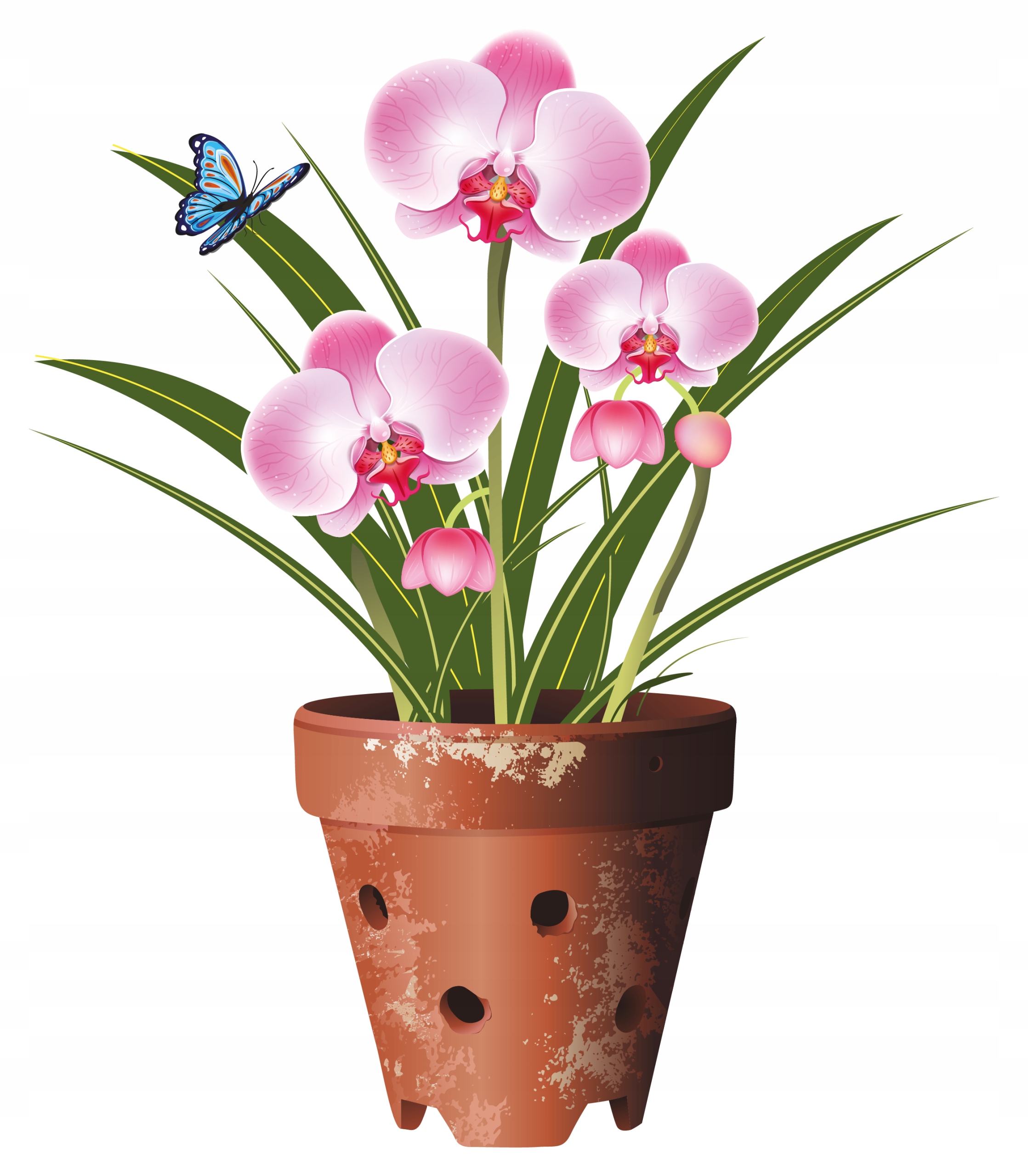 NAKLEJKA NA OKNO LUSTRO SZYBĘ KWIAT KWIATEK