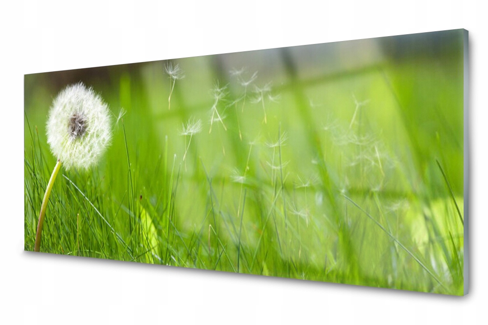 

Panel szklany do kuchni Dmuchawiec Trawa 125x50