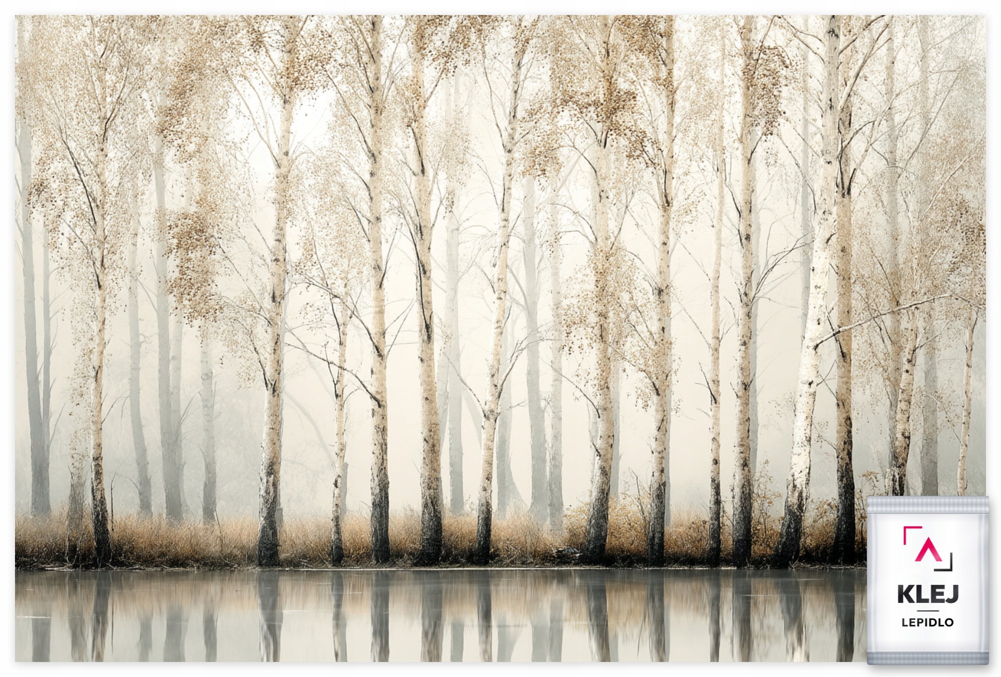 Fototapeta Flizelina Stromy Les Háj Bříza Voda Podzim Mlha 416x290 130g