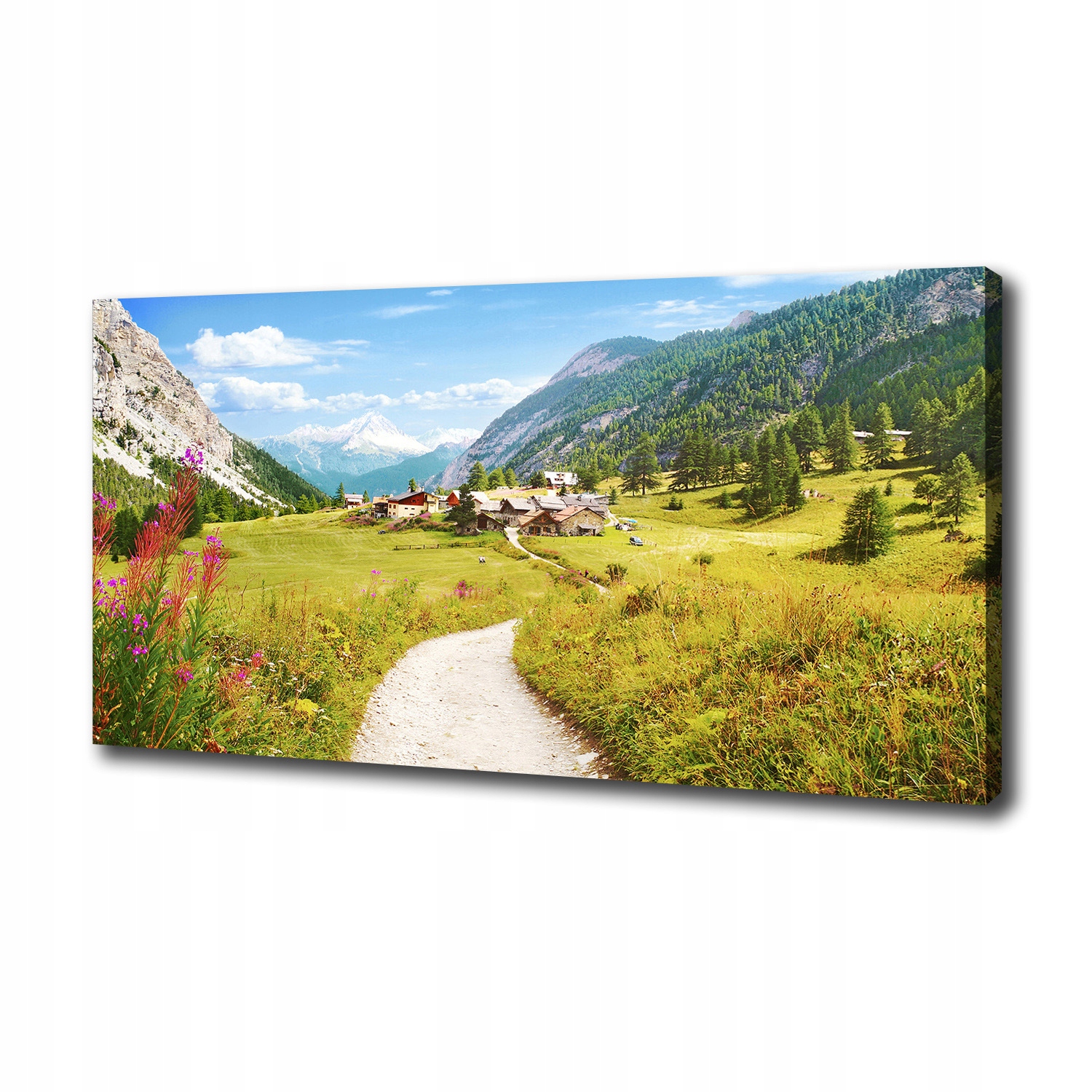 Fotoobraz obraz na plátně Pastvina v Alpách 140x70 cm