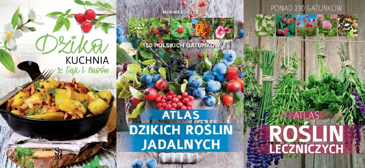 Dzika kuchnia+ Atlas dzikich jadalnych+leczniczych