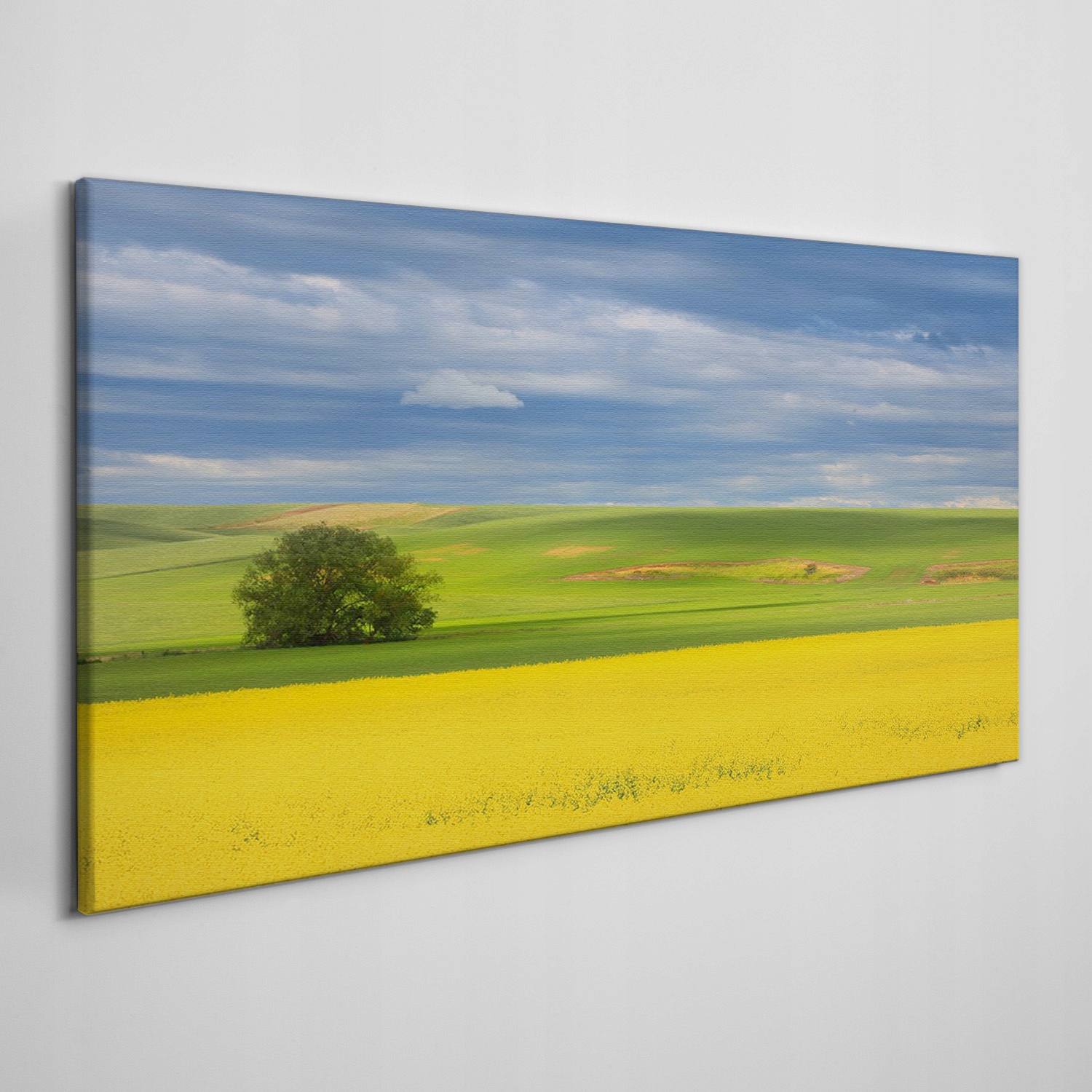 

Obraz na płótnie Kwiaty wzgórze niebo 100x50 cm
