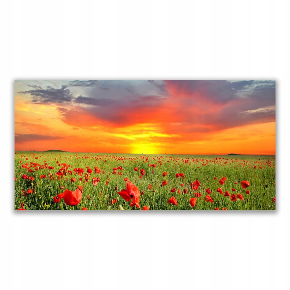 

Obraz na ścianę 120x60 Maki Słońce Roślina Natura