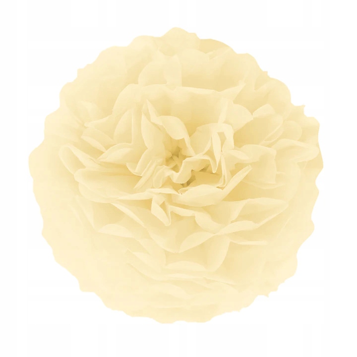 

Pompon Pompony kremowy ślub urodziny 15 cm
