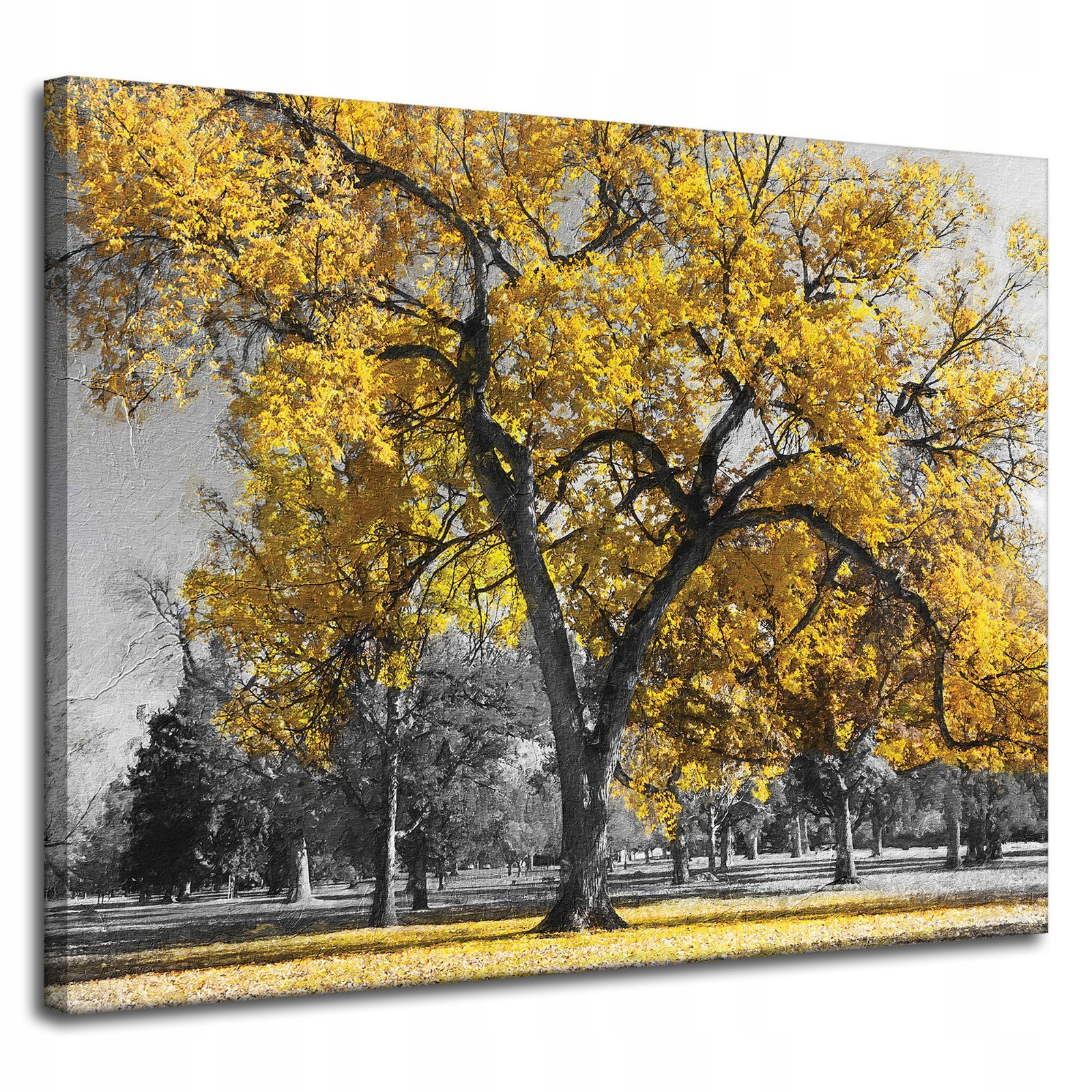 Obraz na plátně Černé Stromy Žluté Listy 100x80 cm Ideální jako dárek