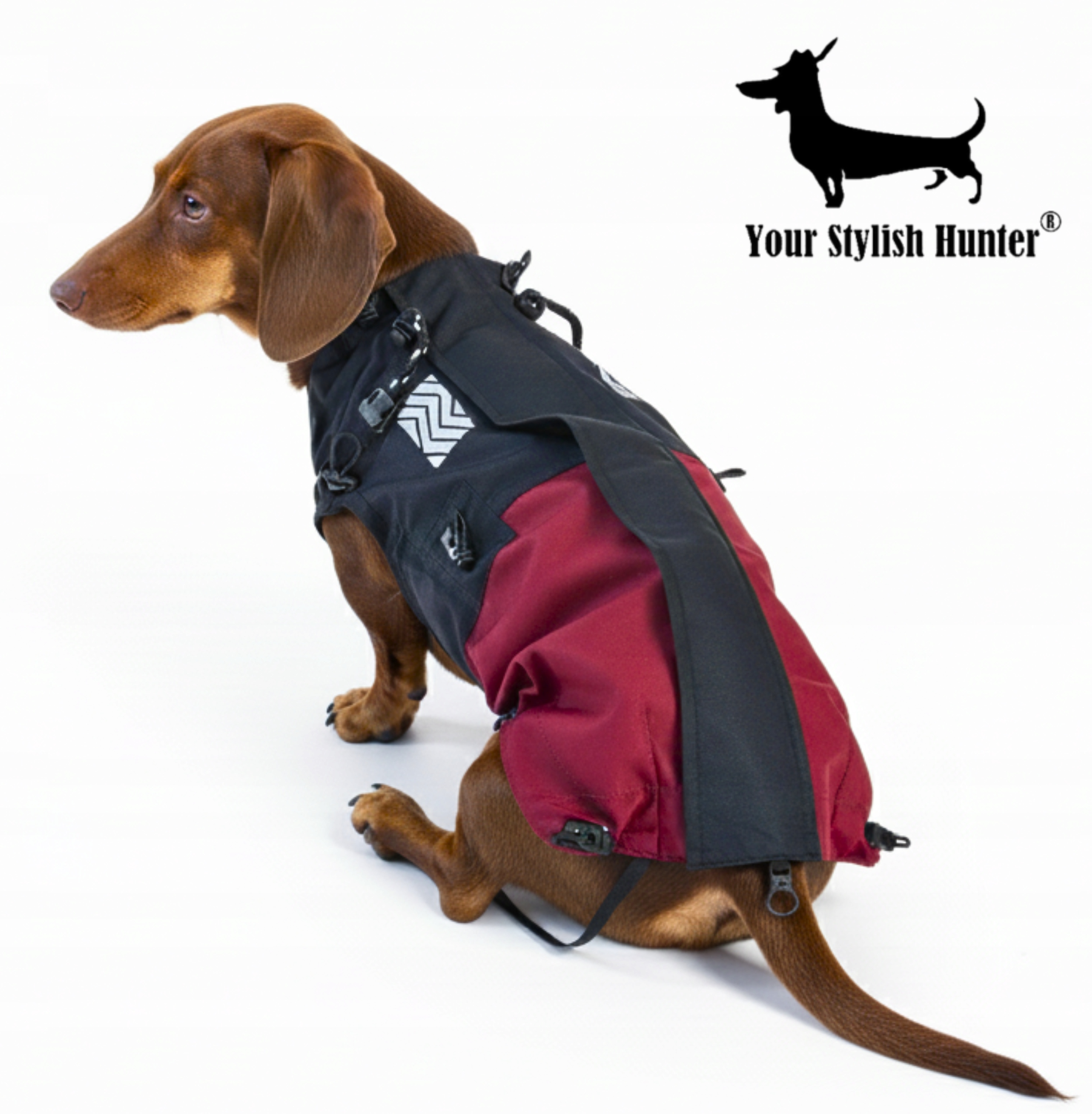 Levně Voděodolná bunda, pláštěnka pro jezevčíka, corgi a psy středních plemen, velikost 3XL