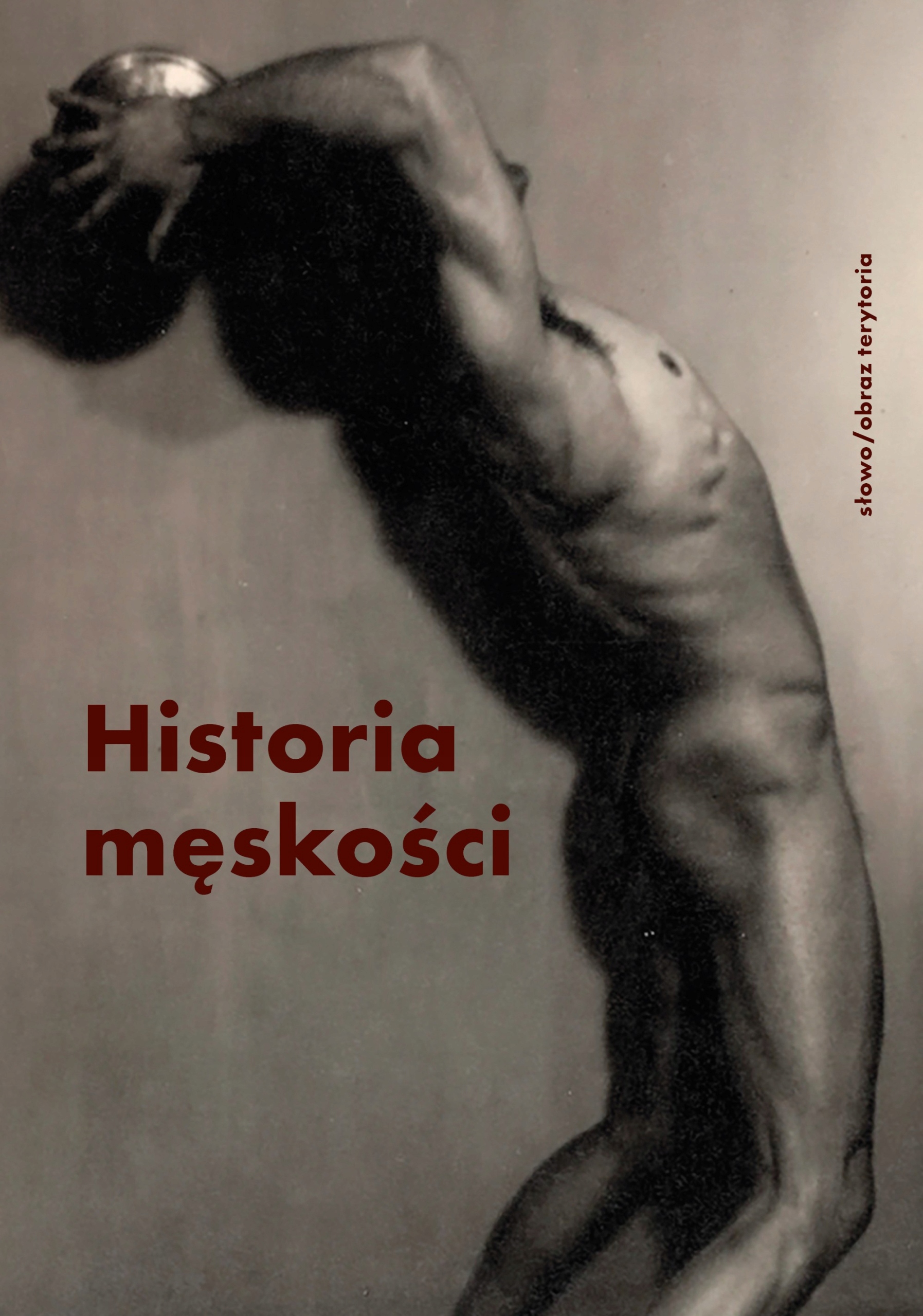 

Historia Męskości 3 XX-XXI w. Męskość w kryzysie