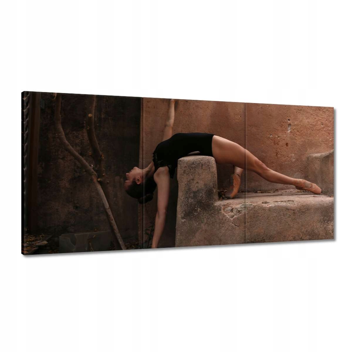 Obrazy 180x90 Balet Baletnica Tanec