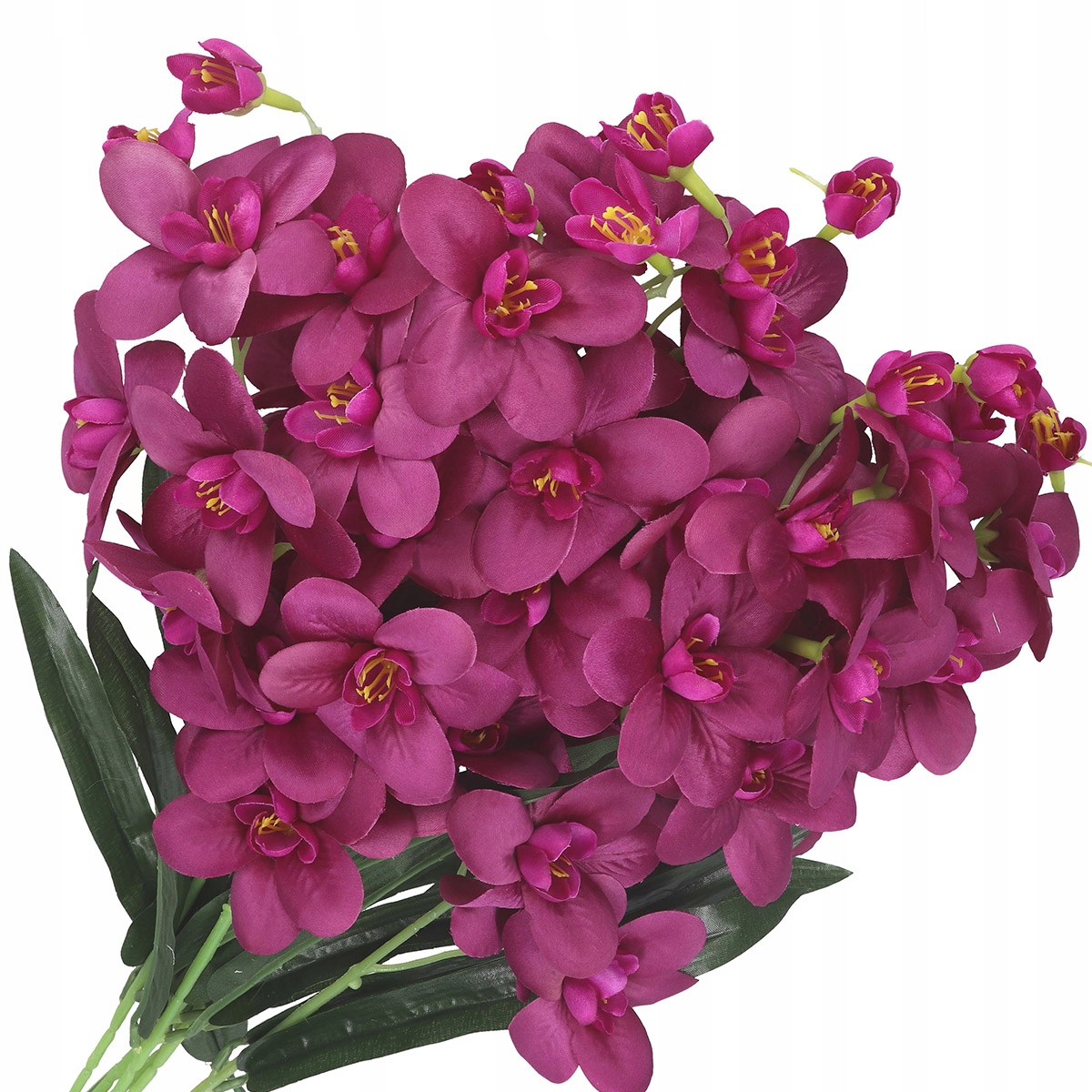 

Storczyk Orchidea Gałązki Piękny Duży Bukiet XXL