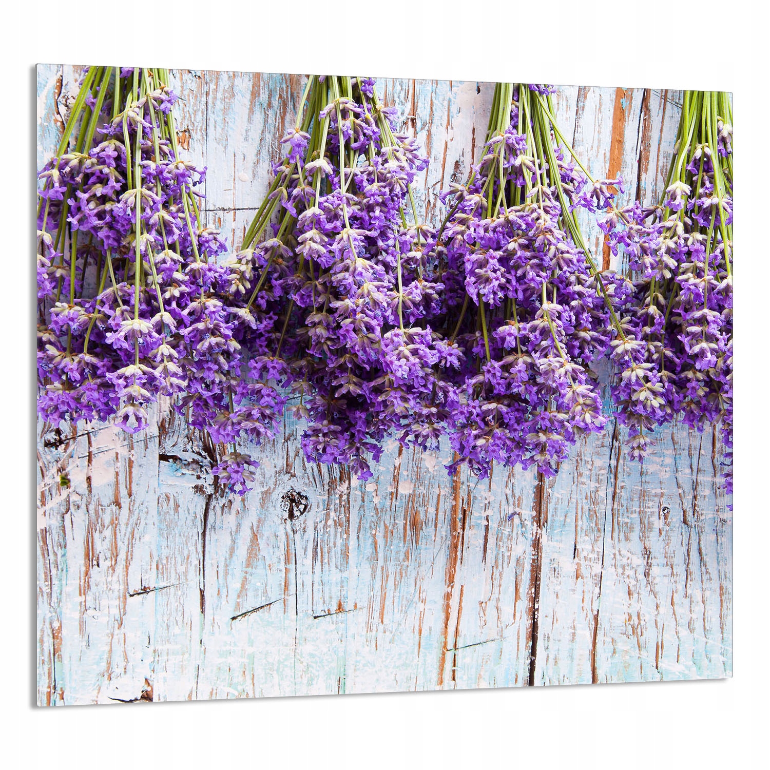 Skleněný Panel Do Kuchyně 65x60 Levandule Tvrzené Sklo