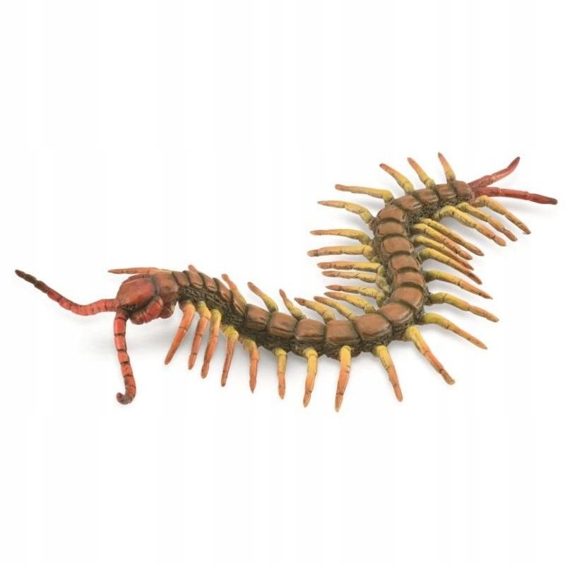 

CollectA 88885 Skolopendra