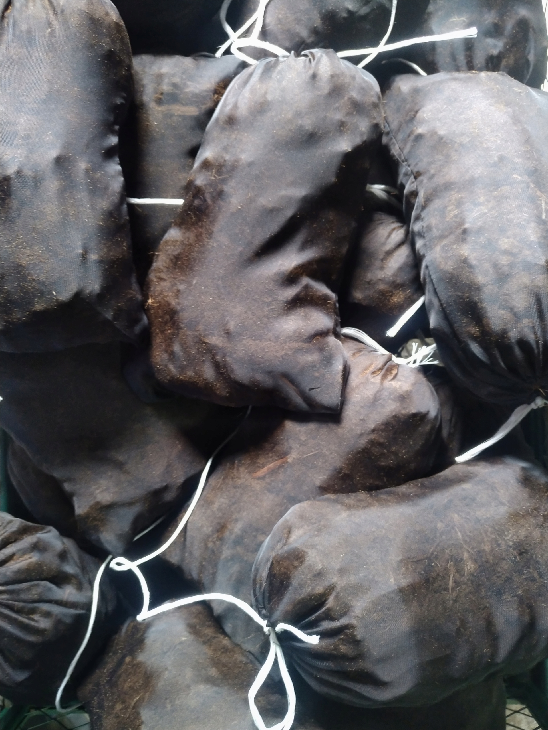 NATURALNY ANTYGLON TORF WŁÓKNISTY- WODA JAK ŹRÓDŁO Marka inna