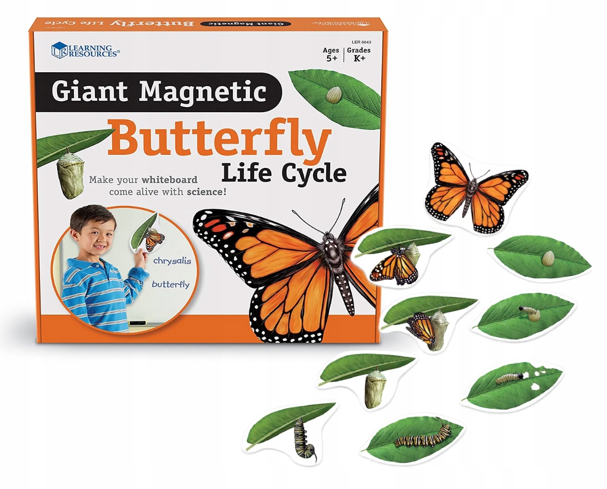 Magnetyczny Cykl Życia Motyla LER6043 Learning Resources