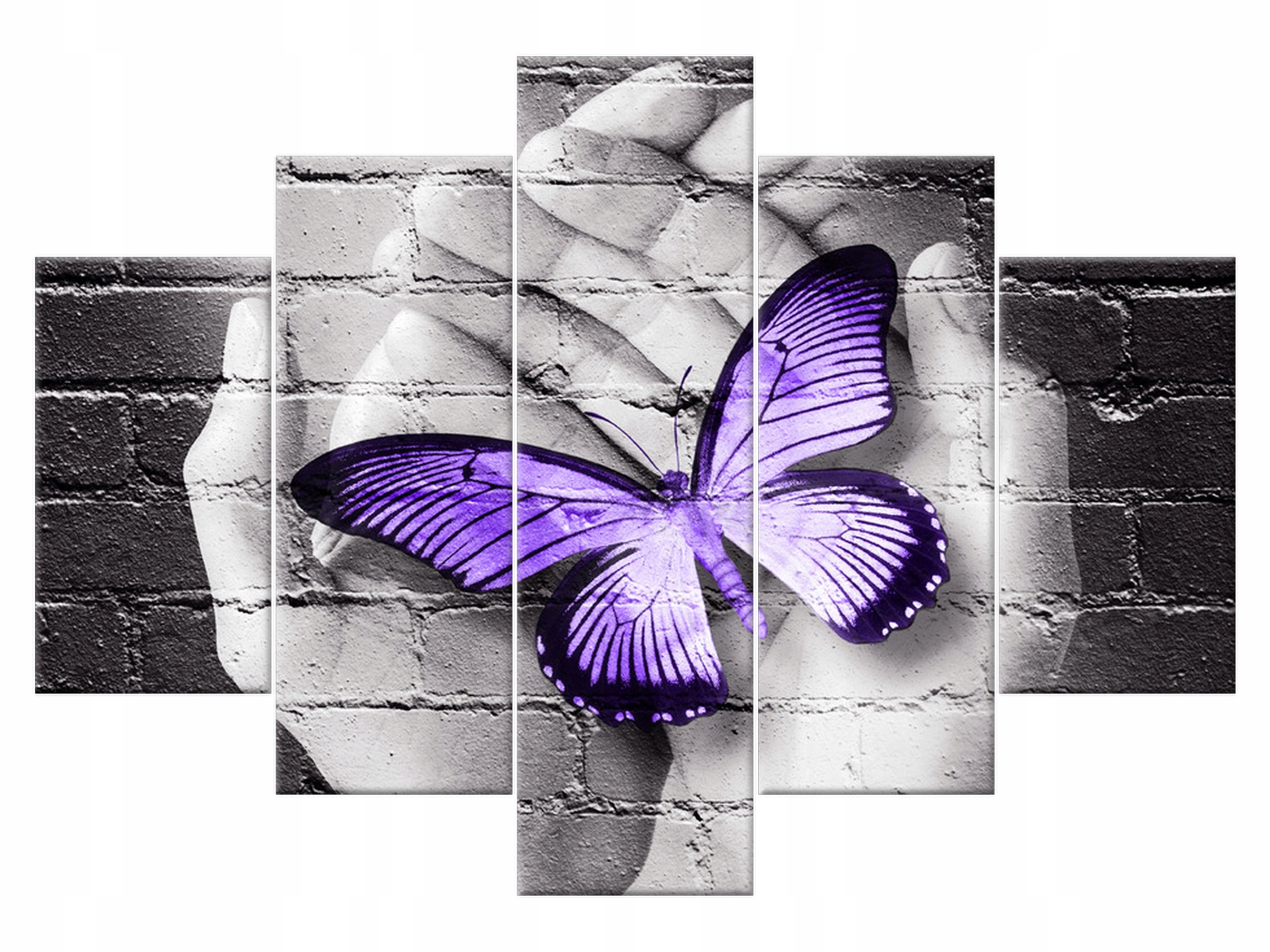 

Obraz Motyl na dłoniach 150x105 Zwierzęta 2389A_5H